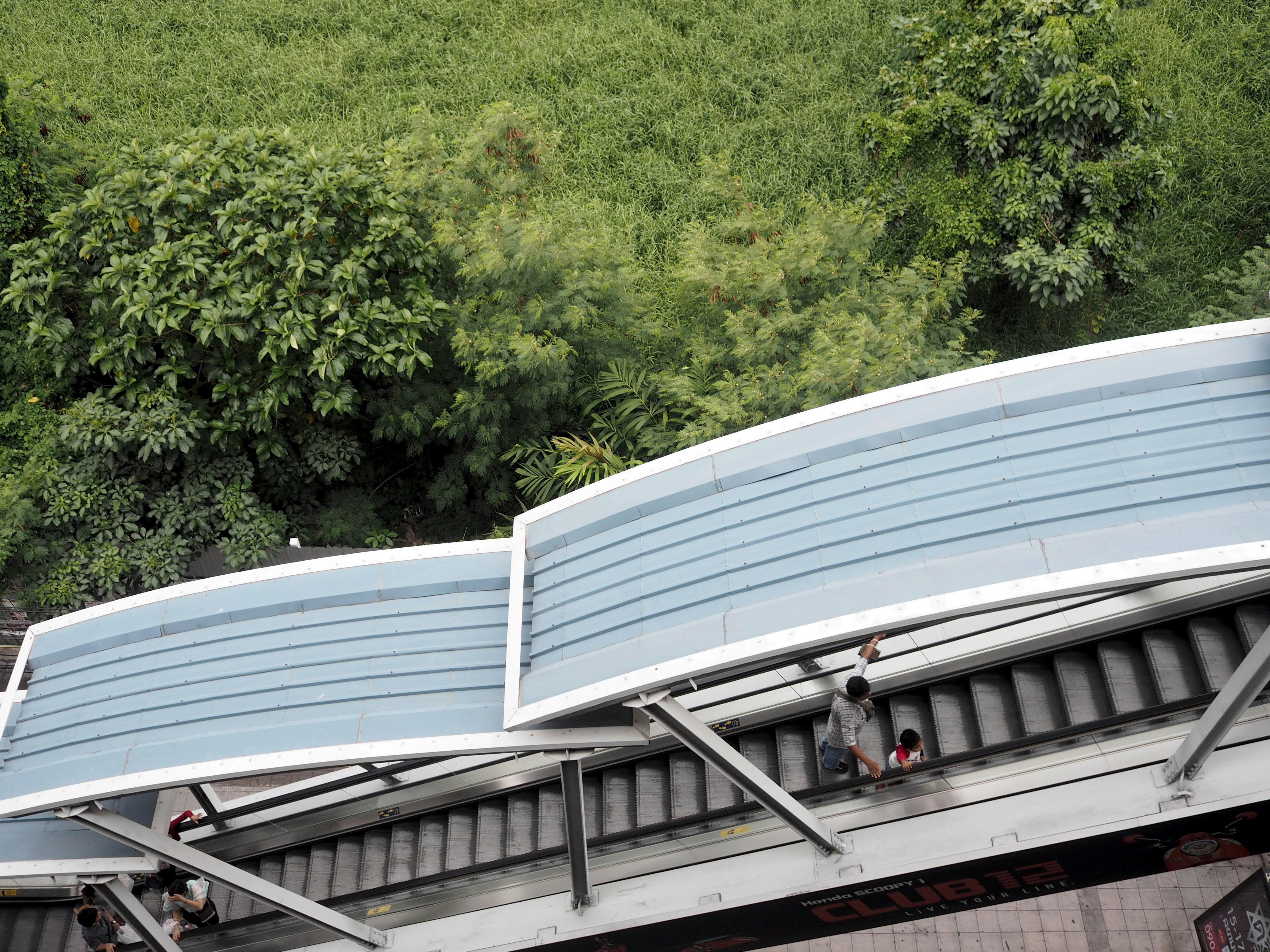 group of people standing on gray escalator surrounded by green leafed trees during daytime